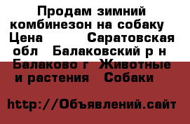 Продам зимний комбинезон на собаку › Цена ­ 600 - Саратовская обл., Балаковский р-н, Балаково г. Животные и растения » Собаки   